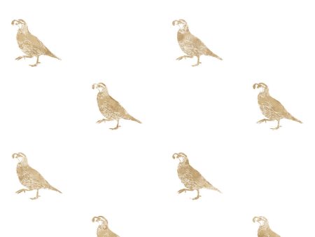 California Quail  Wallpaper by Nathan Turner - Gold For Discount