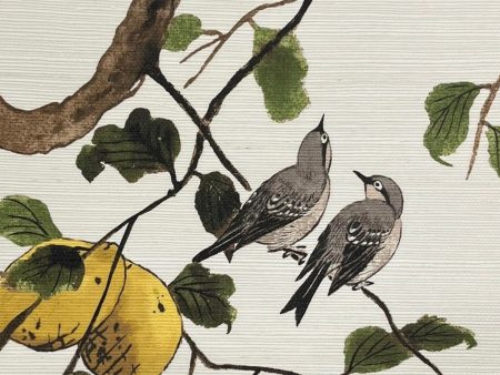 Lemon Birds  Grasscloth Wallpaper by Nathan Turner - Neutral Hot on Sale