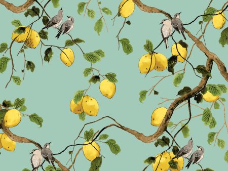 Lemon Birds  Wallpaper by Nathan Turner - Jade Green Online Hot Sale