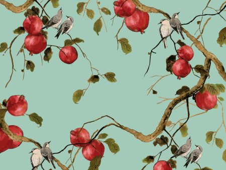 Pomegranate Birds  Wallpaper by Nathan Turner - Jade Green Online Sale