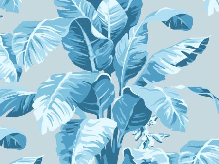 Pacifico Palm  Wallpaper by Nathan Turner - Seaglass Hot on Sale