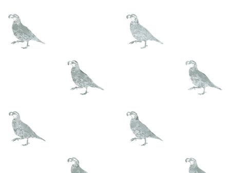 California Quail  Wallpaper by Nathan Turner - Sage on Sale