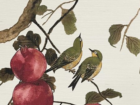 Pomegranate Birds  Grasscloth Wallpaper by Nathan Turner - Neutral Supply