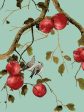 Pomegranate Birds  Wallpaper by Nathan Turner - Jade Green Online Sale