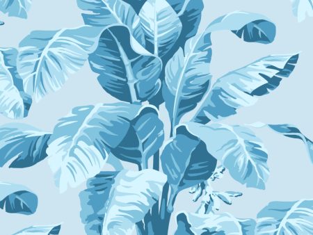 Pacifico Palm  Wallpaper by Nathan Turner - Powder Blue Fashion