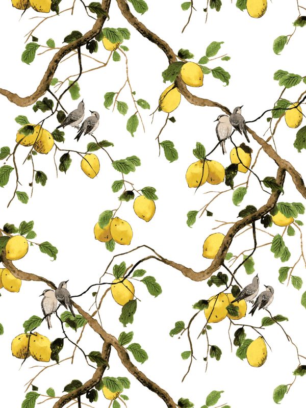 Lemon Birds  Wallpaper by Nathan Turner - White on Sale