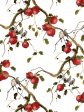 Pomegranate Birds  Wallpaper by Nathan Turner - White For Discount