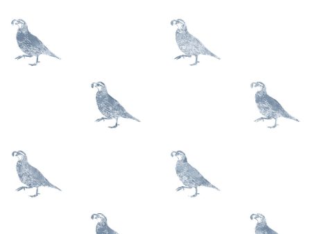 California Quail  Wallpaper by Nathan Turner - Blue For Cheap