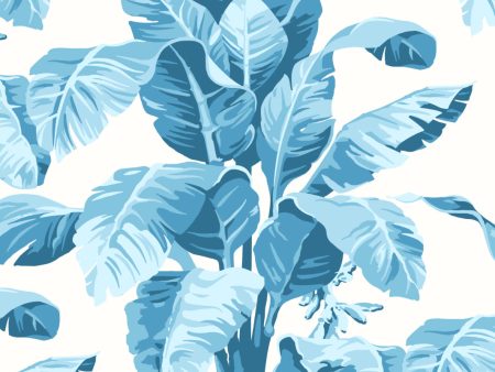 Pacifico Palm  Wallpaper by Nathan Turner - Blue Online now