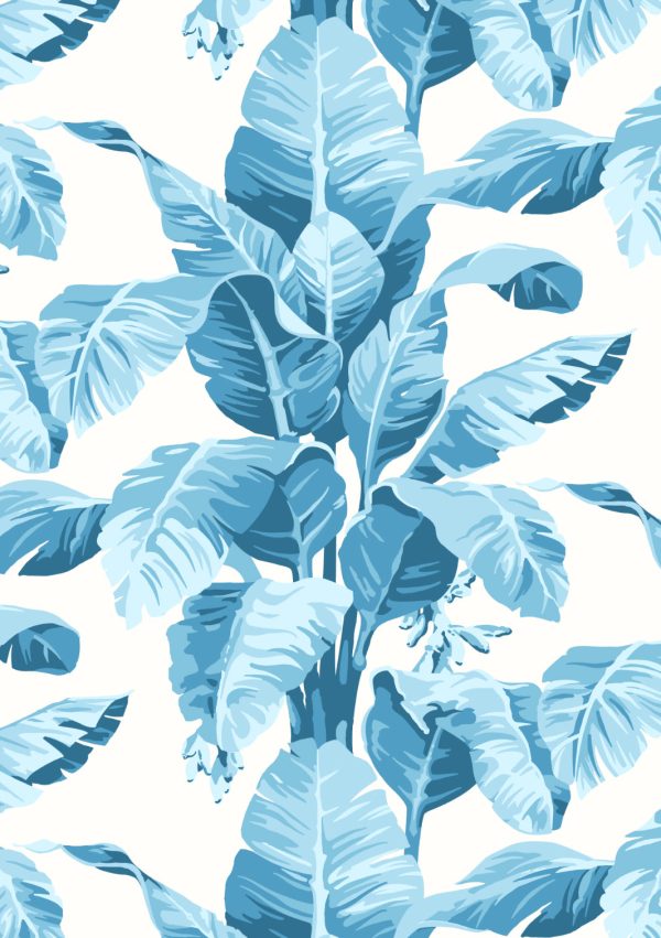 Pacifico Palm  Wallpaper by Nathan Turner - Blue Online now