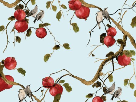 Pomegranate Birds  Wallpaper by Nathan Turner - Light Blue Online