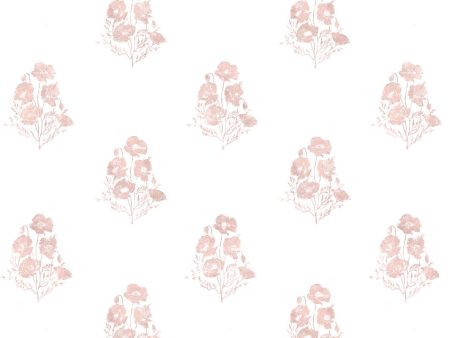 California Poppy  Wallpaper by Nathan Turner - Pink Online