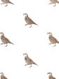 California Quail  Wallpaper by Nathan Turner - Brown Online Sale