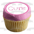 Breast Cancer Awareness Believe Cure Pink Ribbons and Butterflies Edible Cupcake Topper Images ABPID00499 Cheap