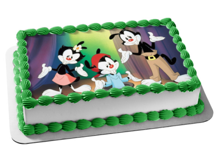 Animaniacs Wakko Warner Dot Warner Yakko Warner Edible Cake Topper Image ABPID00213 For Discount