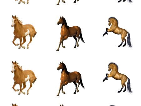 Assorted Horses Cupcake Toppers Edible Cupcake Topper Images ABPID53615 Online now